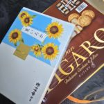 2025-8 板垣ひとみさまより